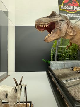 福井県立恐竜博物館に投稿された画像（2024/7/14）