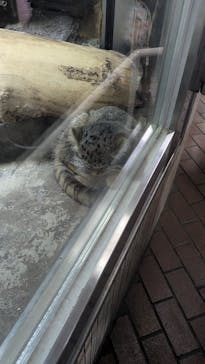 恩賜上野動物園に投稿された画像（2024/7/14）