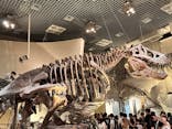 国立科学博物館に投稿された画像（2024/7/14）
