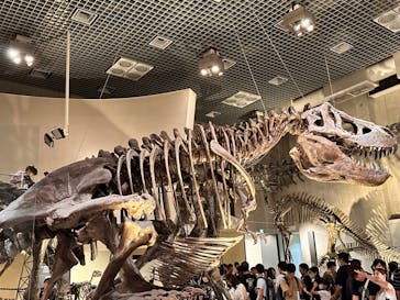 国立科学博物館に投稿された画像（2024/7/14）