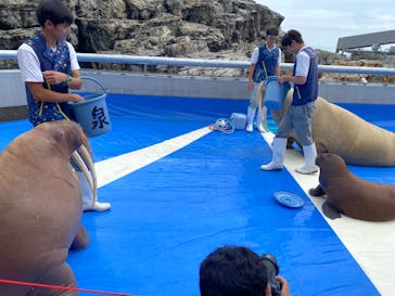 大分マリーンパレス水族館 「うみたまご」に投稿された画像（2024/7/14）