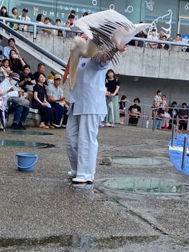 大分マリーンパレス水族館 「うみたまご」に投稿された画像（2024/7/14）