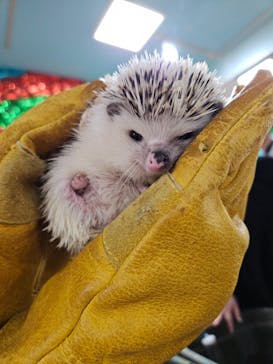 いきもの探検隊上尾に投稿された画像（2024/7/14）