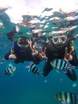 沖縄マリンサービス碧に投稿された画像（2024/7/14）