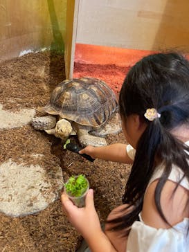 Moff animal cafe MARKIS 福岡ももち店に投稿された画像（2024/7/14）