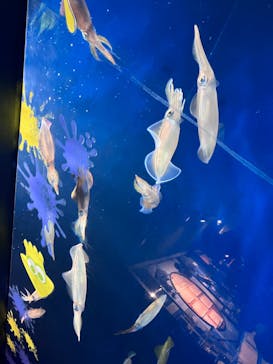 マリンワールド海の中道に投稿された画像（2024/7/14）