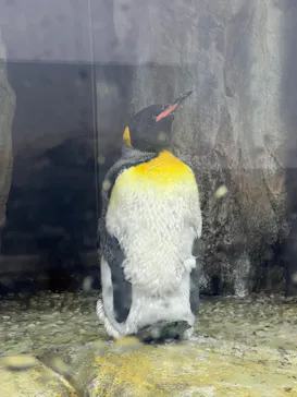 仙台うみの杜水族館に投稿された画像（2024/7/14）