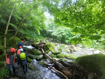 なかやまトレックに投稿された画像（2024/7/14）