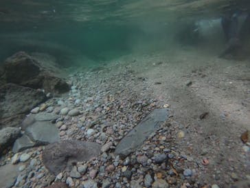 なかやまトレックに投稿された画像（2024/7/14）