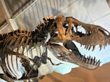 巨大恐竜展2024に投稿された画像（2024/7/14）