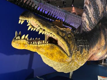巨大恐竜展2024に投稿された画像（2024/7/14）
