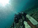 武藤潜水に投稿された画像（2024/7/14）