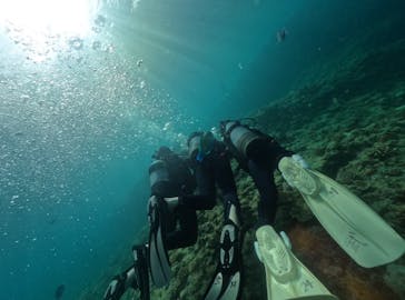 武藤潜水に投稿された画像（2024/7/14）