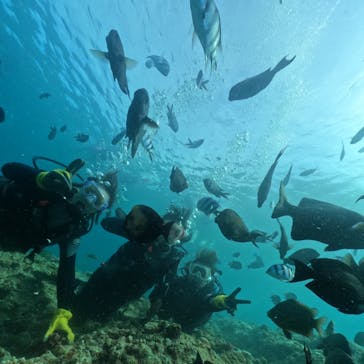 武藤潜水に投稿された画像（2024/7/14）