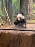 恩賜上野動物園に投稿された画像（2024/7/14）