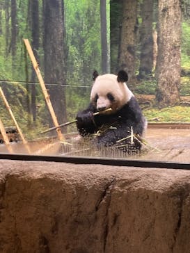 恩賜上野動物園に投稿された画像（2024/7/14）