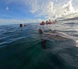  マリンショップHAPPYに投稿された画像（2024/7/14）