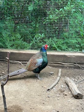 環境水族館アクアマリンふくしまに投稿された画像（2024/7/14）