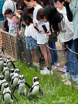 名古屋港水族館に投稿された画像（2024/7/14）