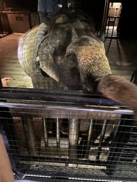 那須サファリパークに投稿された画像（2024/7/14）