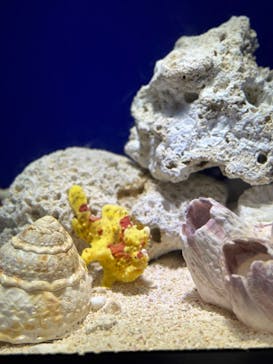 サンシャイン水族館に投稿された画像（2024/7/14）