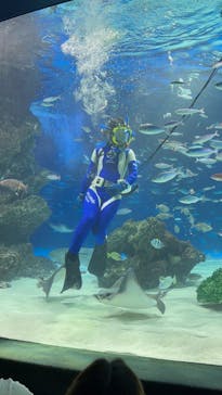 サンシャイン水族館に投稿された画像（2024/7/14）