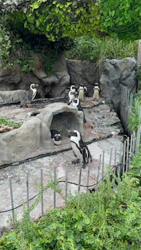 サンシャイン水族館に投稿された画像（2024/7/14）