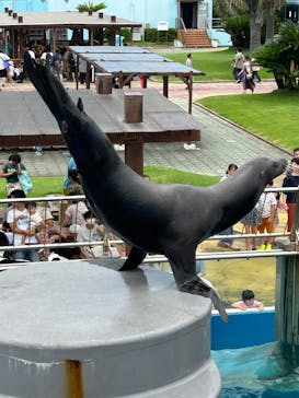 南知多ビーチランド＆南知多おもちゃ王国に投稿された画像（2024/7/14）