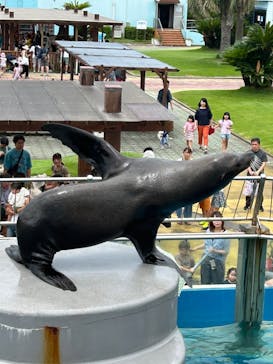 南知多ビーチランド＆南知多おもちゃ王国に投稿された画像（2024/7/14）