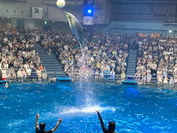 マクセル アクアパーク品川に投稿された画像（2024/7/14）