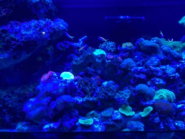 マクセル アクアパーク品川に投稿された画像（2024/7/14）