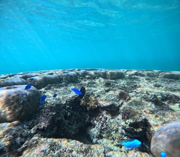 宮古島 ADVENTURE PiPi（ミヤコジマ アドベンチャー ピピ）に投稿された画像（2024/7/14）