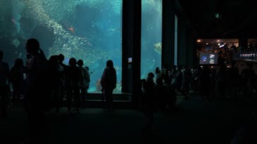 マリンワールド海の中道に投稿された画像（2024/7/14）