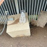 伊豆シャボテン動物公園に投稿された画像（2024/7/14）