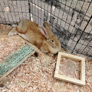 伊豆シャボテン動物公園に投稿された画像（2024/7/14）