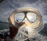 青の洞窟専門店　沖縄ダイビングショップ和に投稿された画像（2024/7/14）