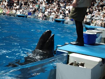 マクセル アクアパーク品川に投稿された画像（2024/7/14）