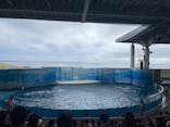 新江ノ島水族館に投稿された画像（2024/7/14）