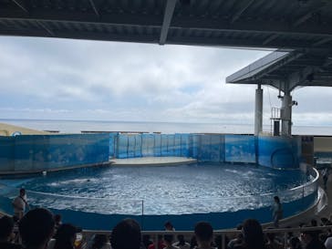 新江ノ島水族館に投稿された画像（2024/7/14）