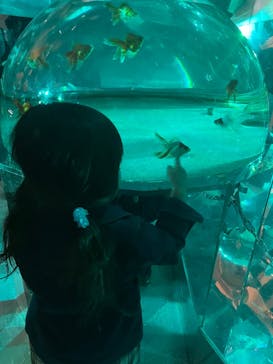 登別マリンパークニクスに投稿された画像（2024/7/14）