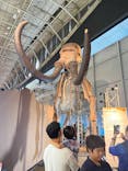 巨大恐竜展2024に投稿された画像（2024/7/14）