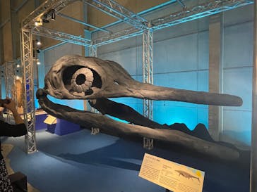 巨大恐竜展2024に投稿された画像（2024/7/14）