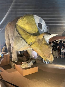巨大恐竜展2024に投稿された画像（2024/7/14）
