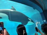 名古屋港水族館に投稿された画像（2024/7/14）