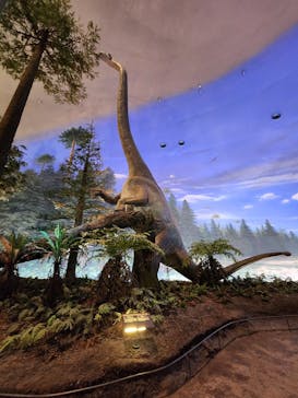 福井県立恐竜博物館に投稿された画像（2024/7/14）