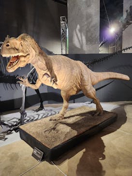 福井県立恐竜博物館に投稿された画像（2024/7/14）