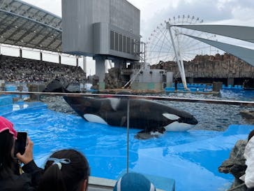 名古屋港水族館に投稿された画像（2024/7/14）