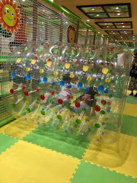 ザキッズ お台場デックス東京ビーチ店に投稿された画像（2024/7/14）