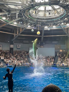 マクセル アクアパーク品川に投稿された画像（2024/7/14）