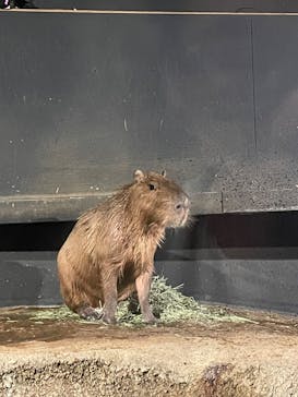 マクセル アクアパーク品川に投稿された画像（2024/7/14）